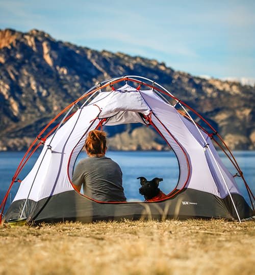 Person and dog inside camping tent outdoors.